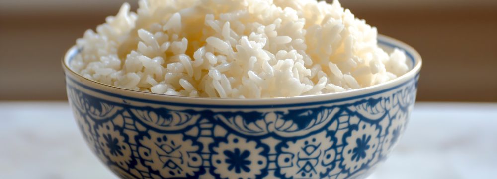 Rice in bowl on countertop 